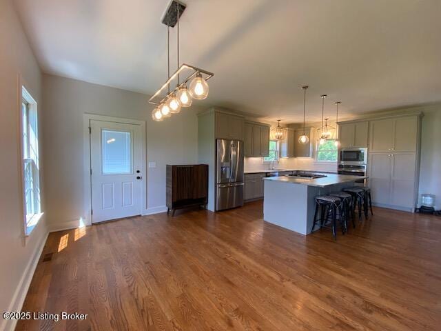 300 Sadie Ln, Bardstown, KY 40004 - kitchen with stainless steel appliances, plenty of natural light, dark wood finished floors, and a center island