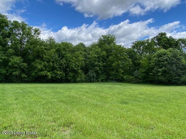 300 Sadie Ln, Bardstown, KY 40004 - view of grassy yard with a view of trees