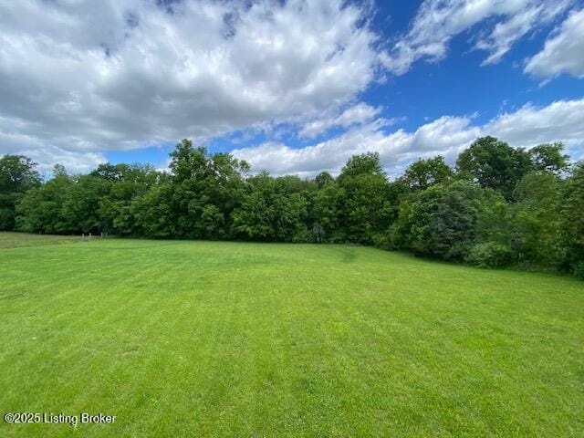 300 Sadie Ln, Bardstown, KY 40004 - view of green lawn