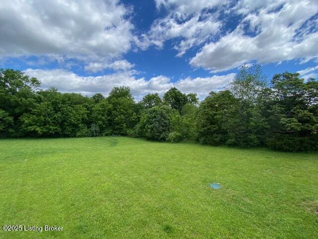 300 Sadie Ln, Bardstown, KY 40004 - view of green lawn