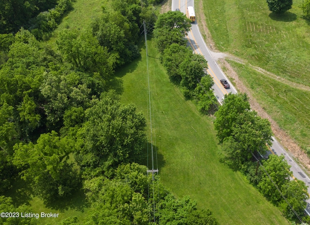 view of bird's eye view