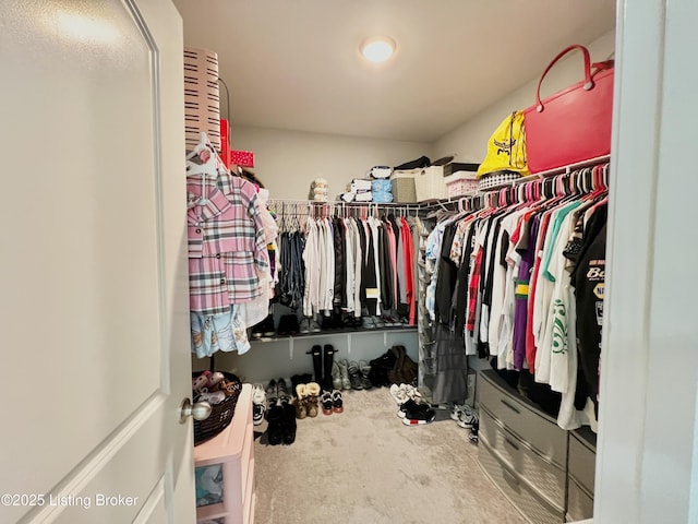 12023 Cascade Falls Trl, Louisville, KY 40229 - spacious closet featuring carpet flooring