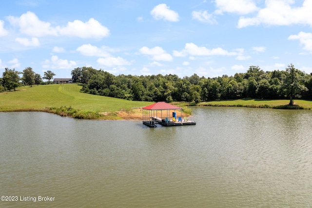 property view of water featuring a dock