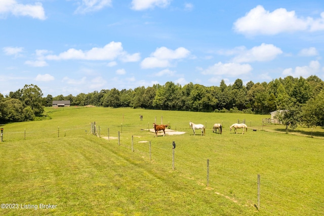 view of yard with a rural view