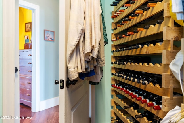 wine cellar featuring dark wood-type flooring