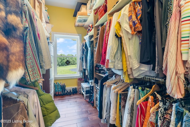 spacious closet featuring dark wood-type flooring