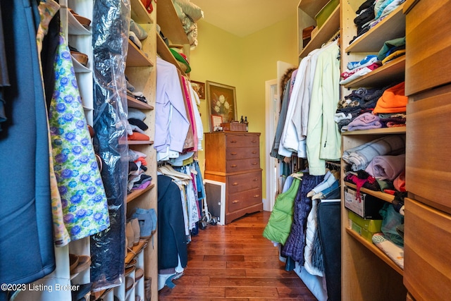 spacious closet with dark hardwood / wood-style flooring