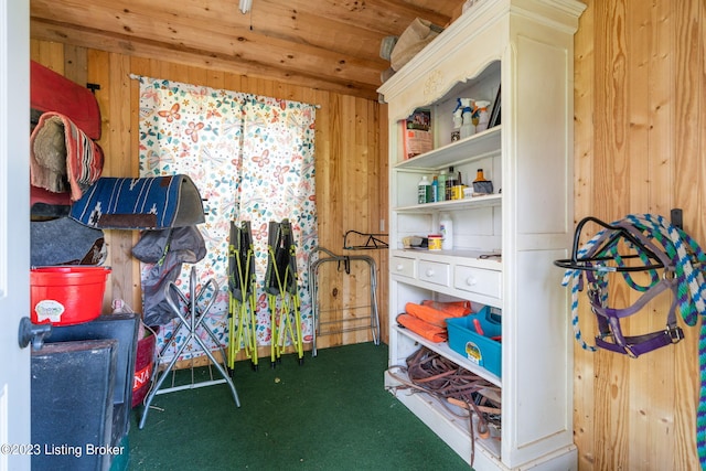 miscellaneous room featuring wooden walls