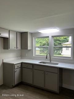 kitchen with gray cabinets and sink