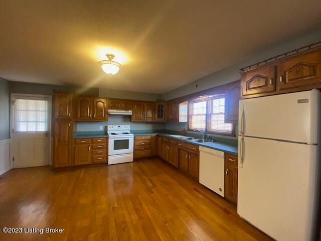 kitchen featuring white appliances, hardwood / wood-style flooring, sink, and a healthy amount of sunlight