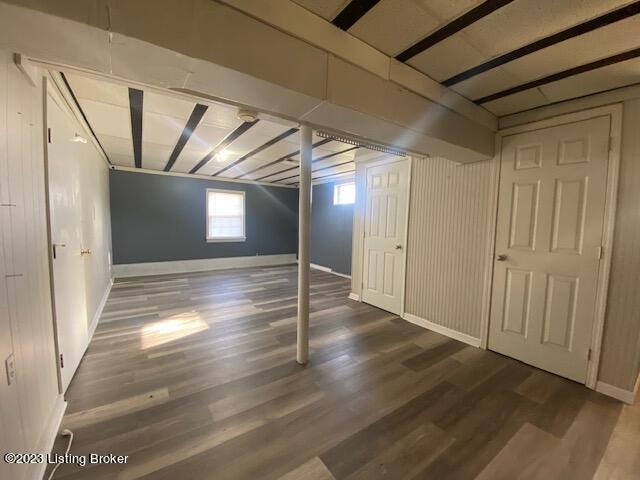 basement featuring dark hardwood / wood-style floors