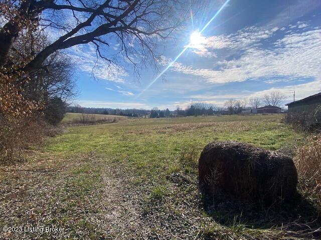 view of yard featuring a rural view