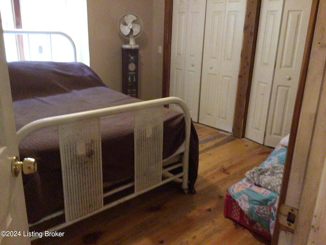 bedroom featuring wood-type flooring