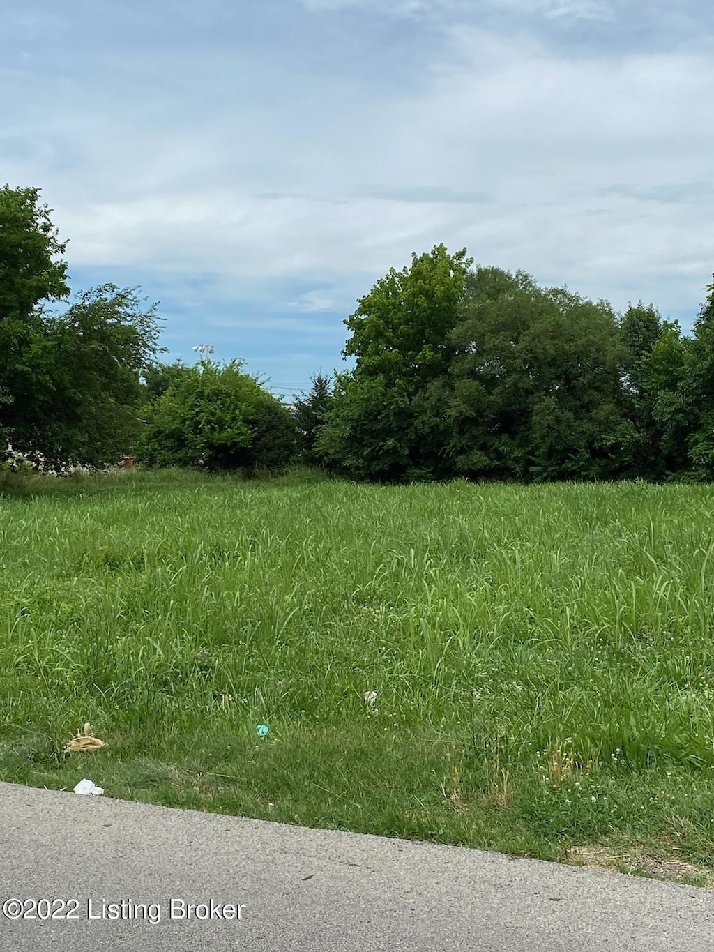 1701 Stallings Ave, Louisville, KY 40216