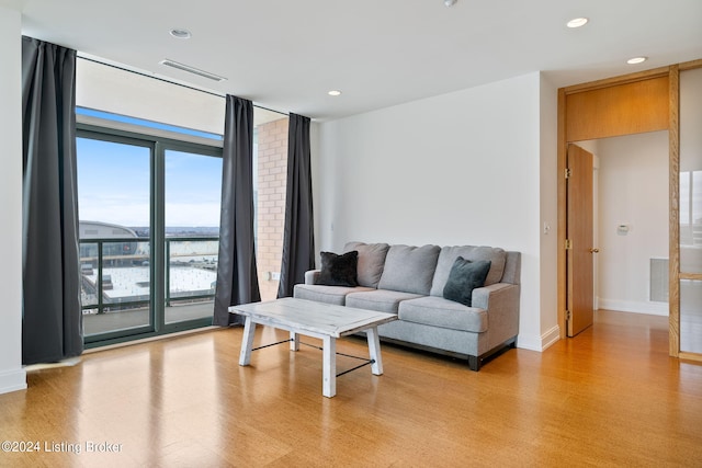 living room featuring expansive windows and light wood-type flooring