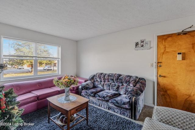 living room featuring a textured ceiling and dark colored carpet