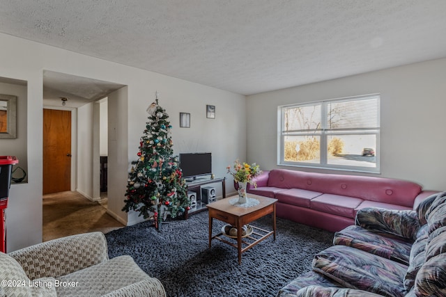 carpeted living room with a textured ceiling