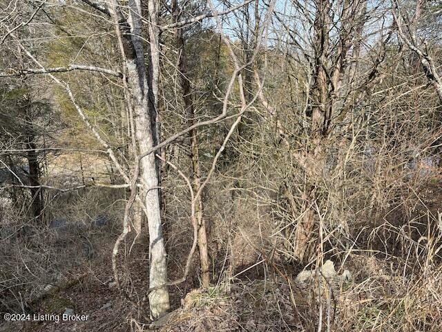 42 Cedarmore Rd, Bagdad, KY 40003