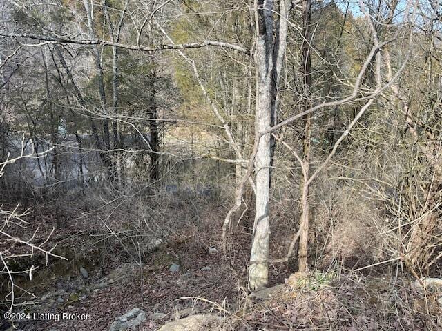 42 Cedarmore Rd, Bagdad, KY 40003