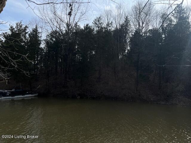 42 Cedarmore Rd, Bagdad, KY 40003