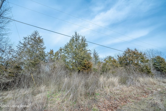 Listing photo 3 for LOT46 Fox Run Rd, Pendleton KY 40055