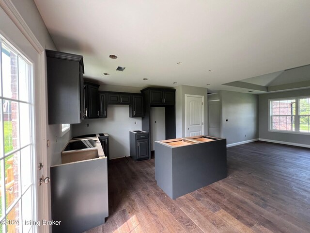 kitchen featuring a kitchen island and dark wood-type flooring