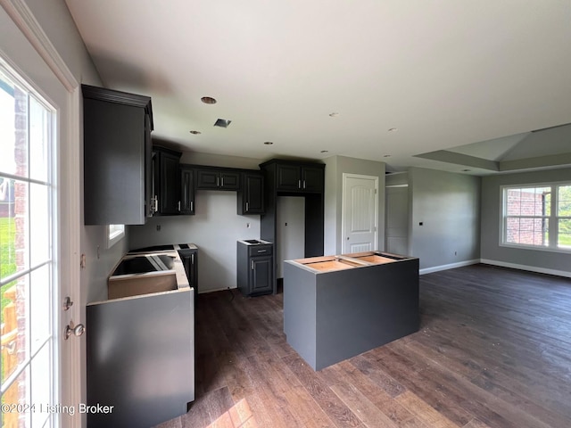 kitchen featuring a center island and dark hardwood / wood-style flooring