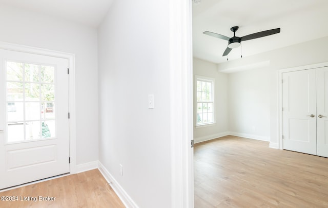 interior space featuring light hardwood / wood-style floors, a wealth of natural light, and ceiling fan