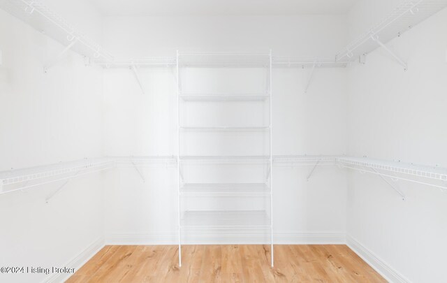 walk in closet with wood-type flooring