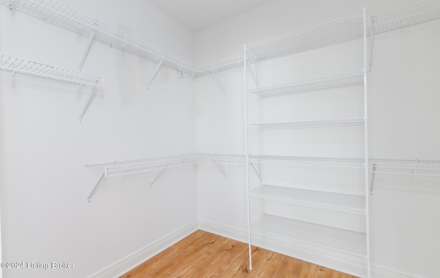 walk in closet with hardwood / wood-style floors