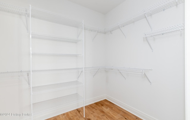 walk in closet with hardwood / wood-style floors