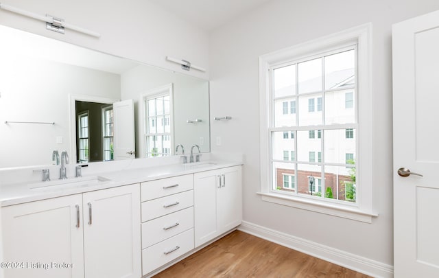 bathroom featuring hardwood / wood-style flooring and dual bowl vanity