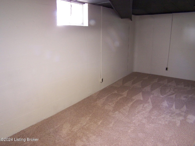 basement featuring carpet flooring