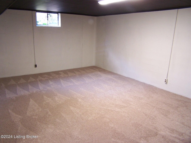 basement featuring carpet floors