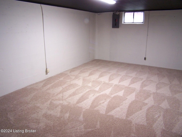 basement with carpet floors and electric panel