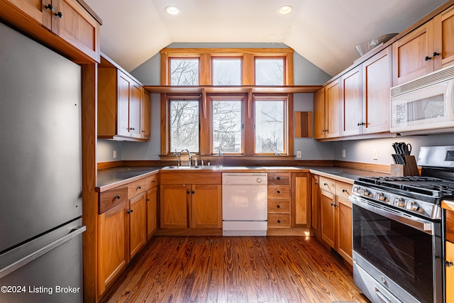 kitchen featuring lofted ceiling, stainless steel appliances, dark hardwood / wood-style floors, and sink