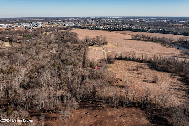 view of bird's eye view