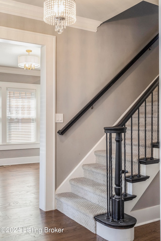 stairway featuring dark hardwood / wood-style flooring, crown molding, and a chandelier