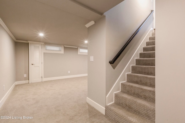 stairs with light colored carpet and ornamental molding