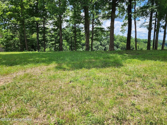 Listing photo 3 for LOT15 Laurelwood Dr, Nancy KY 42544