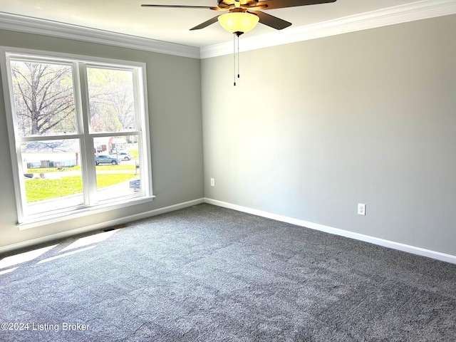 spare room with ceiling fan, carpet, and crown molding