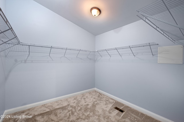 spacious closet featuring carpet