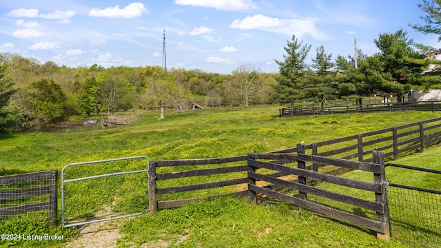 view of yard with a rural view