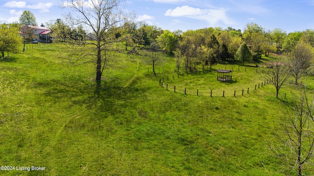 view of yard with a rural view