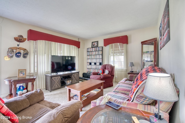 living room featuring carpet floors