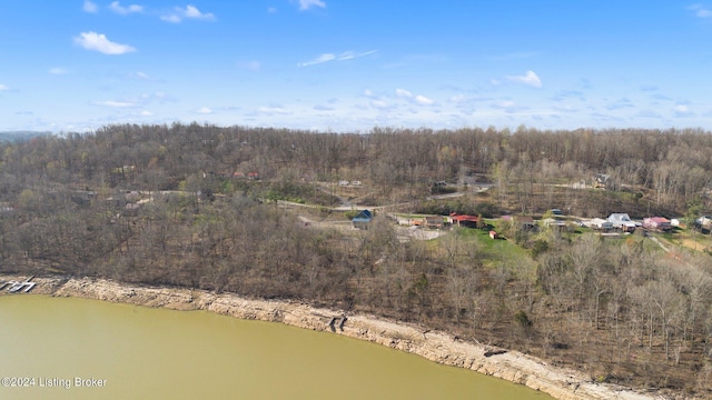 1478 Robbin Ln, Cub Run, KY 42729 - birds eye view of property with a water view and a forest view
