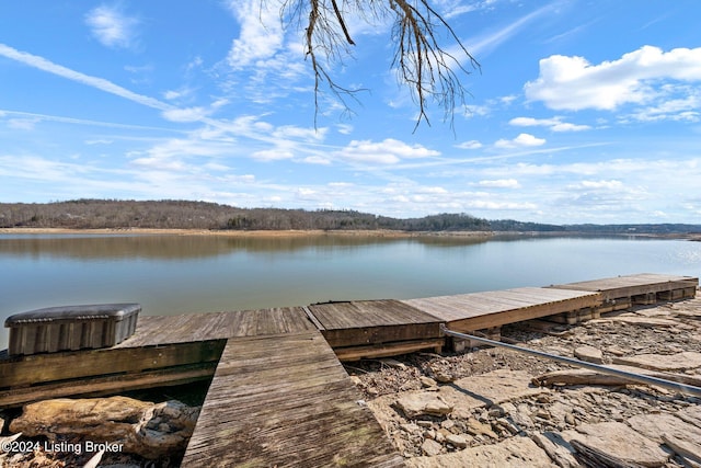 1478 Robbin Ln, Cub Run, KY 42729 - view of dock featuring a water view