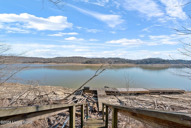 1478 Robbin Ln, Cub Run, KY 42729 - water view with a dock