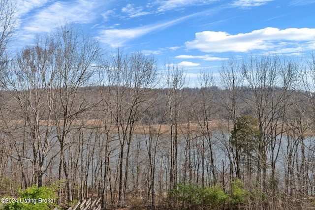 1478 Robbin Ln, Cub Run, KY 42729 - water view featuring a view of trees