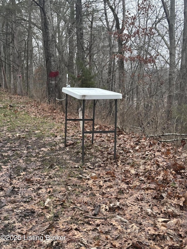1478 Robbin Ln, Cub Run, KY 42729 - view of yard with a carport